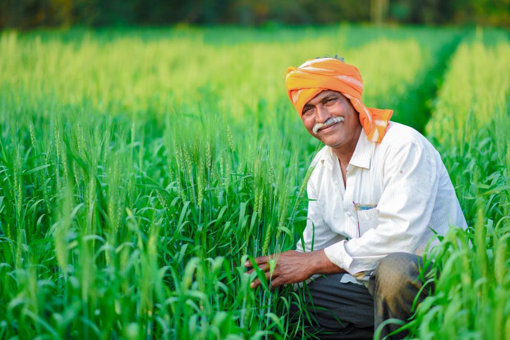 Nurturing Nature's Bounty: The Incredible Benefits of Sustainable Agriculture